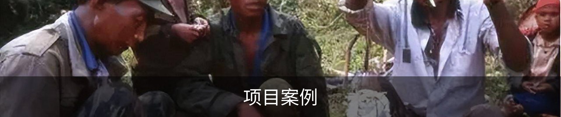 项目案例
